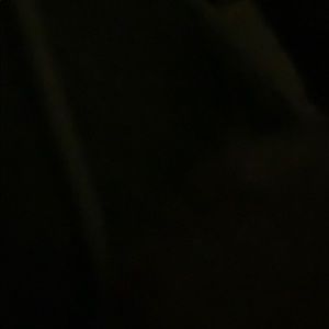 Meet your Posher, Lettie